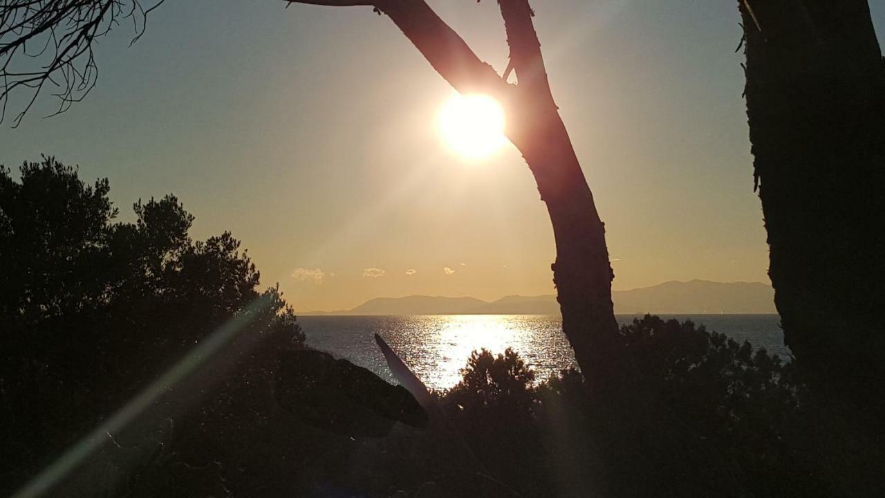 Casa Vacanze " Is Meris " กาปิตานา ภายนอก รูปภาพ